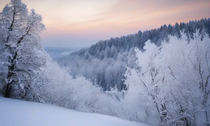 Chřibská – winter