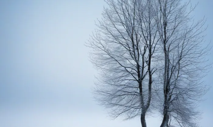 Chotkovská hrobka ve Valtířově – winter