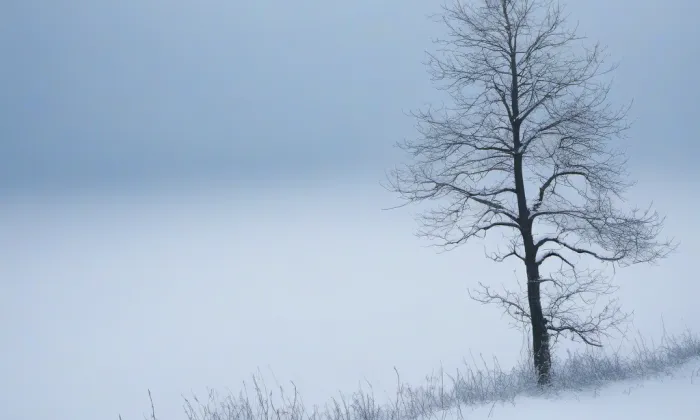 Chotkovy sady – winter