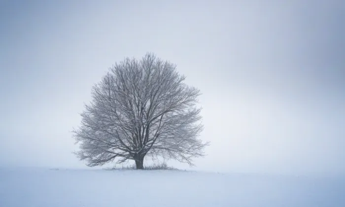chrám svatého Ducha v Šumperku – winter