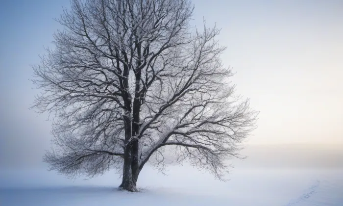 Chrám svatého Jana Křtitele – winter