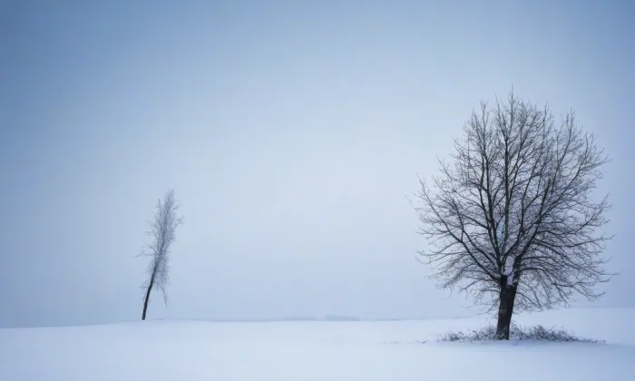 Chrám svatého Mikuláše – winter