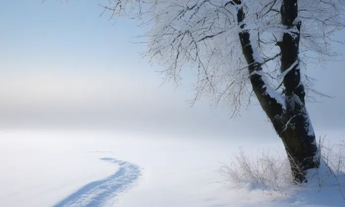 Cihelná brána – winter