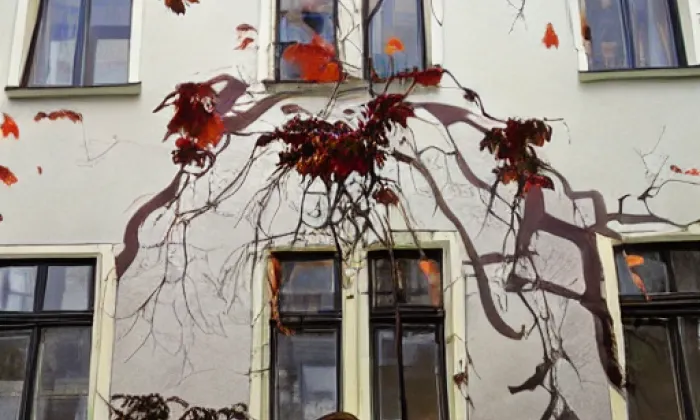 Cingrošův dům – autumn