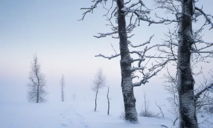 Cuknštejn – winter