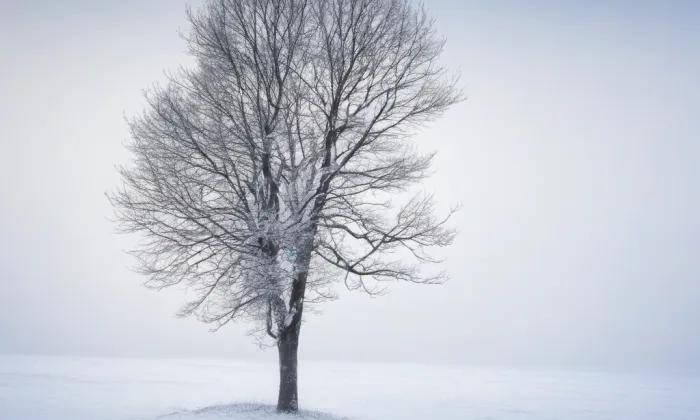 Cyrilometodějská záložna – winter