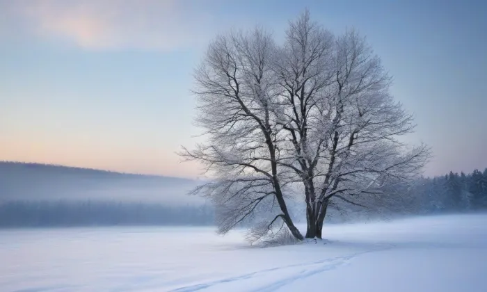 Děkanství – winter
