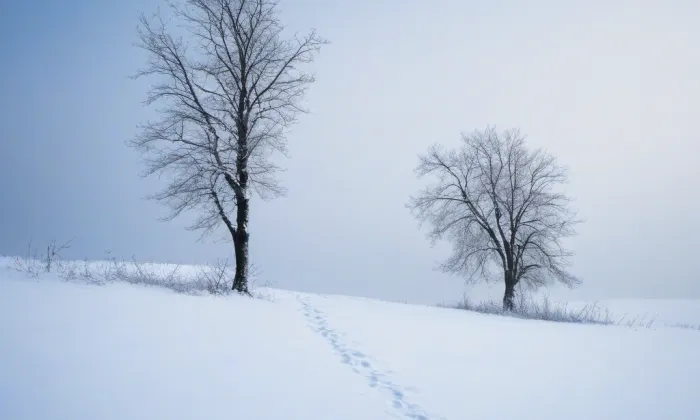 Důl Jeremenko – winter