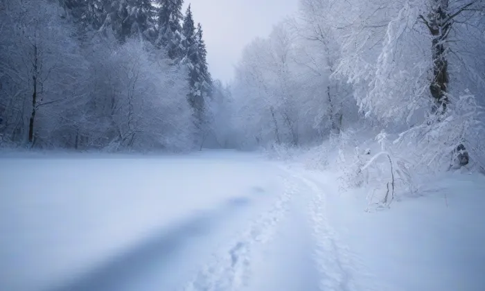 Důl Kübeck – winter