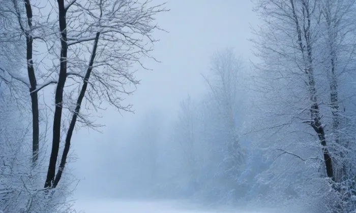 Důl Prokop – winter