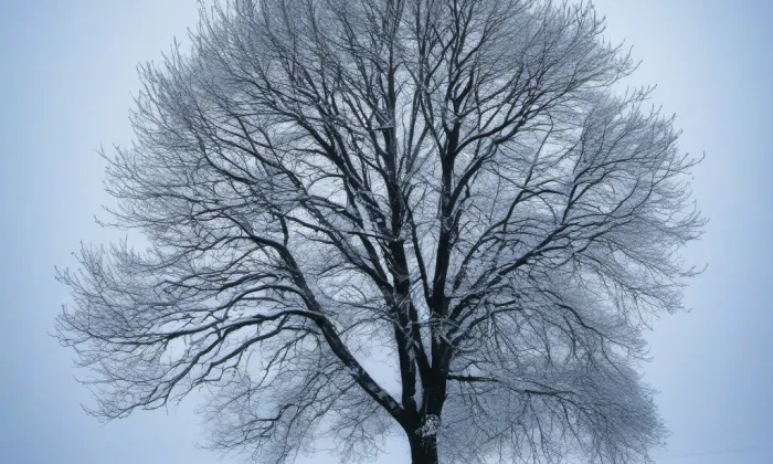 Důl Václav – winter