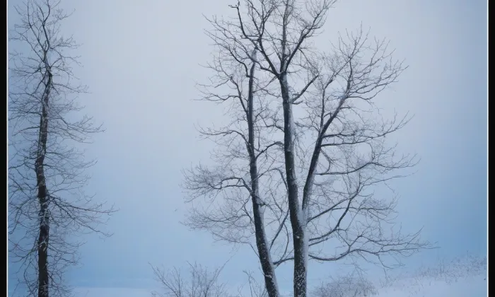 Dělnický dům, s pamětní deskou – winter