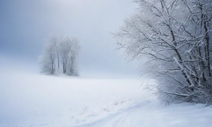 Dělnická kolonie – winter