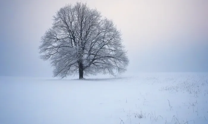 Dům Daliborka – winter