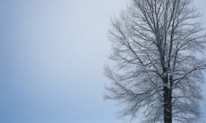 Dívčí lyceum spolku Ludmila – winter
