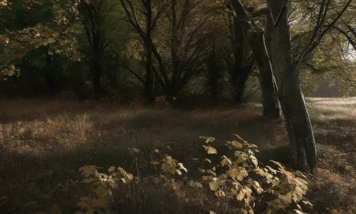 Dehtárská – autumn
