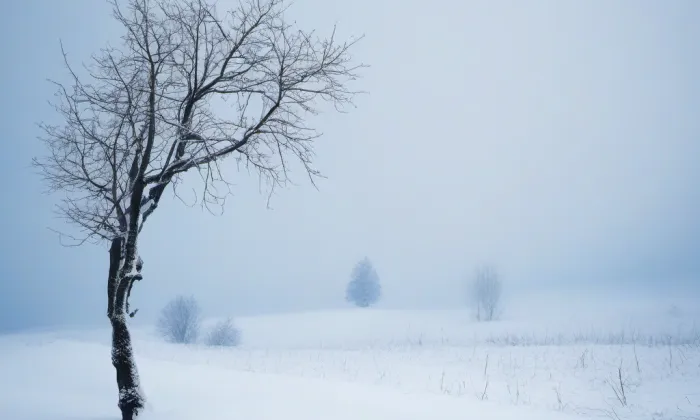 Deymovský palác v Praze – winter