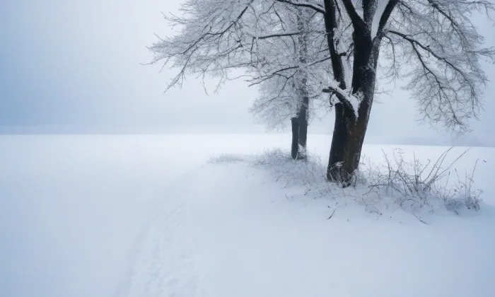 Dianin chrám – winter