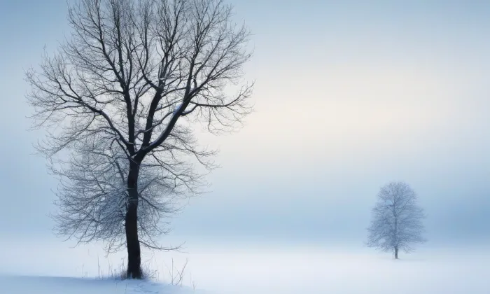 Distribuční trafostanice Kfely – winter