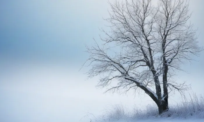 Divadlo Lubomíra Lipského – winter