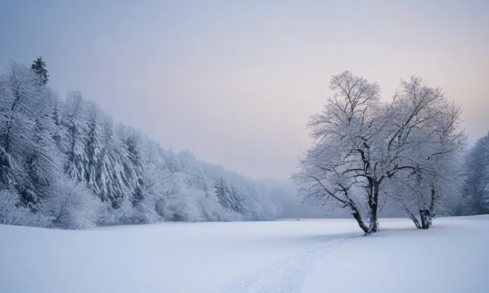 Dlouhá Loučka – winter