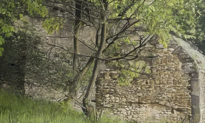 Dobřany – summer
