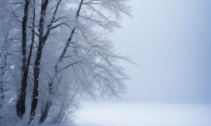 Dobrovítov – winter