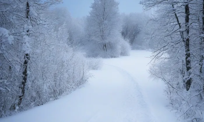 Dolní brána (Pelhřimov) – winter