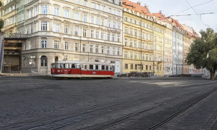 Dolní Nové Město – summer