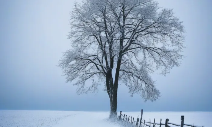 Domov důchodců – winter