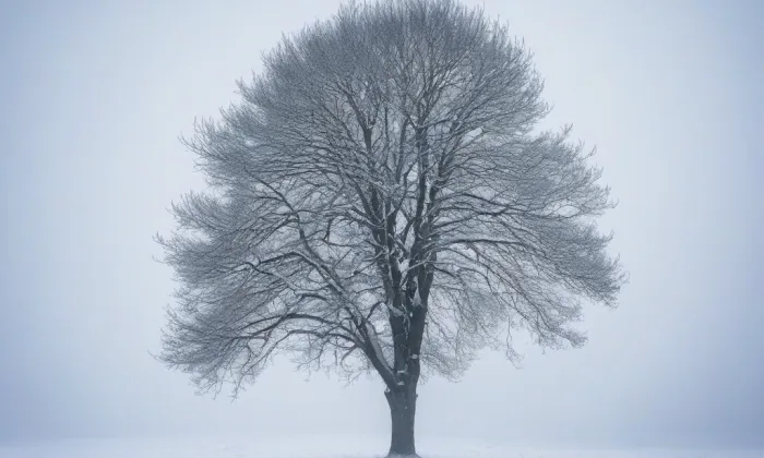 Dršťka – winter