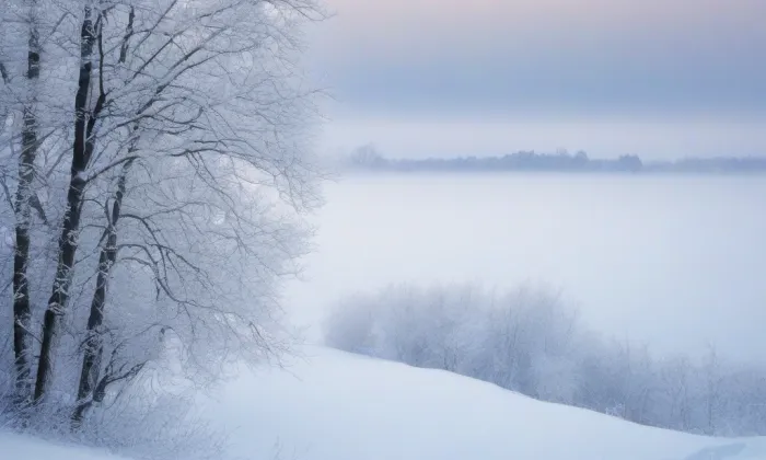 Dvořáčkův park – winter