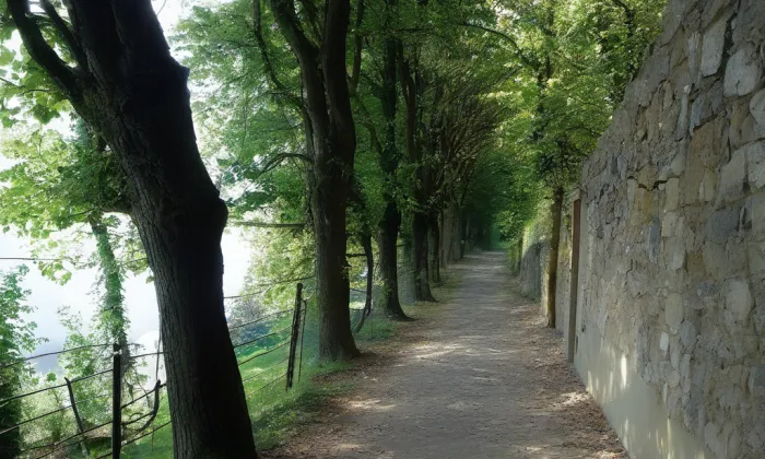 Dvořákova stezka – spring