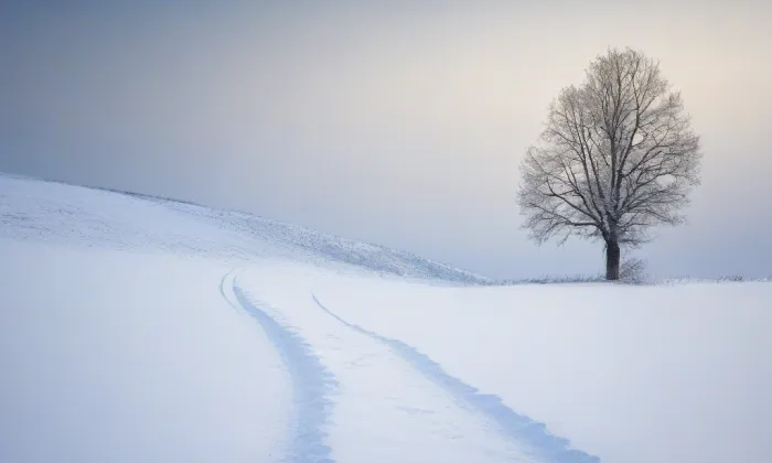 Dvořákovy sady (Karlovy Vary) – winter