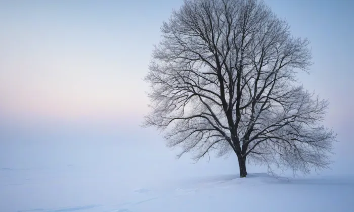 Dvojvila rodiny Krondlových – winter