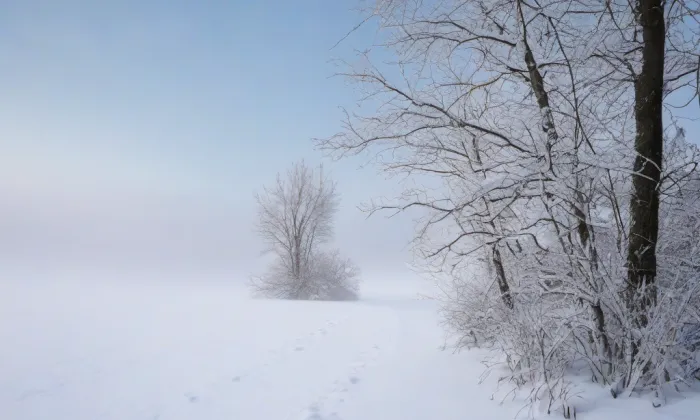 evangelický kostel v České Kamenici – winter