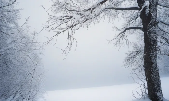 evangelický kostel v Humpolci – winter