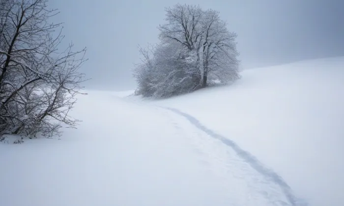 evangelický kostel v Mšeně – winter
