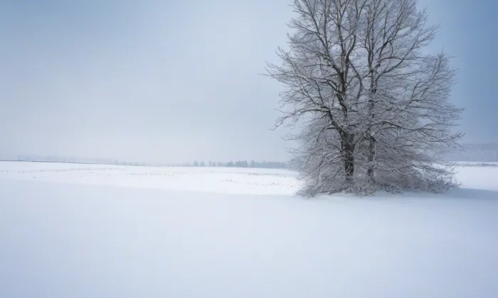 Evangelický kostel v Roudnici nad Labem – winter