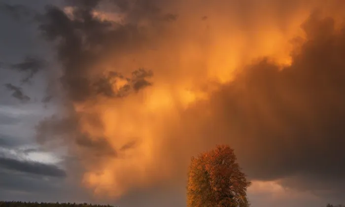 evangelický kostel ve Velimi – autumn
