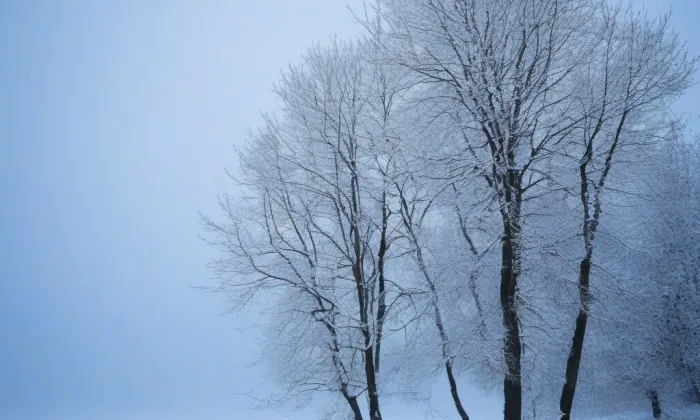 evangelický kostel ve Velké Lhotě – winter