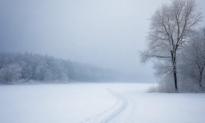 Fidlovačka – winter