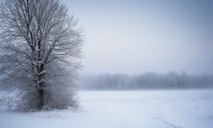 Frýdlant (Frýdlant) – winter