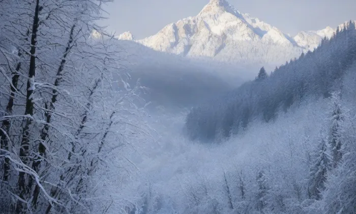 Františkánský klášter v Tachově – winter