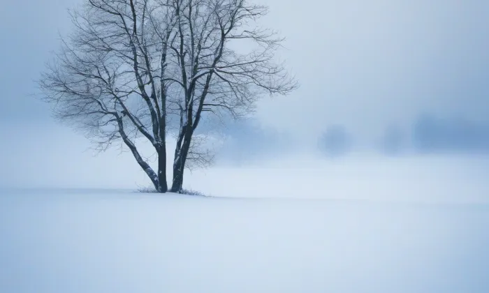 Gutštejn – winter