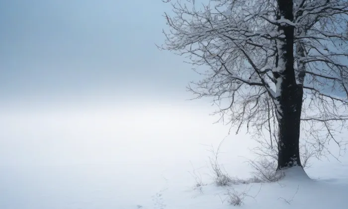 Hřbitovní kaple s hrobkou Thun-Hohensteinů – winter