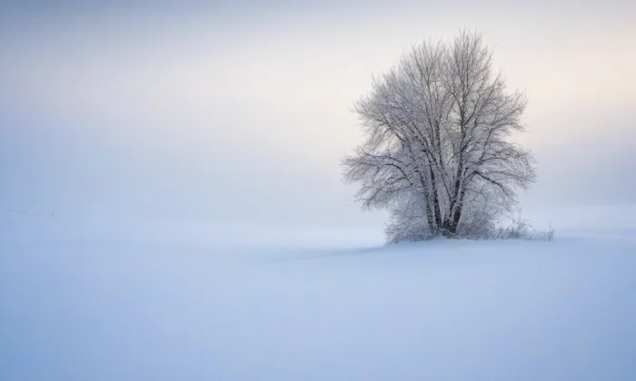 Hasskova zahrada – winter