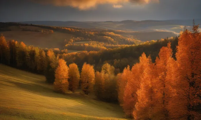 Hengst – autumn