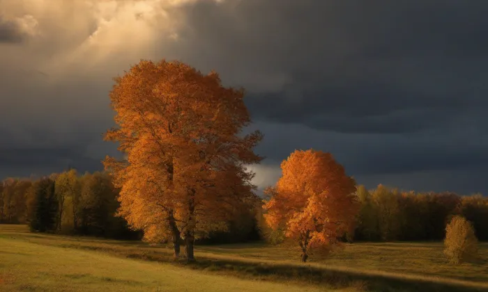 historická budova Národního muzea v Praze – autumn