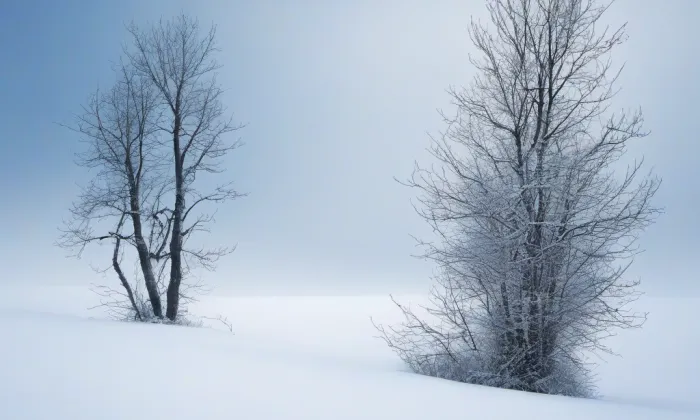 Hládkov – winter